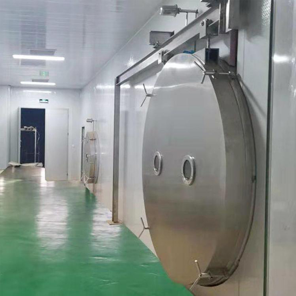 200m² freeze dryer fruit and vegetable food freeze-drying production line